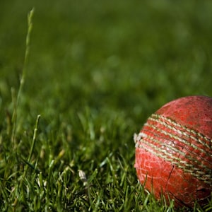 中国男子篮球职业联赛CBA标志及球员扣篮瞬间