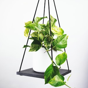 西班牙足球甲级联赛西甲标志及比赛场景